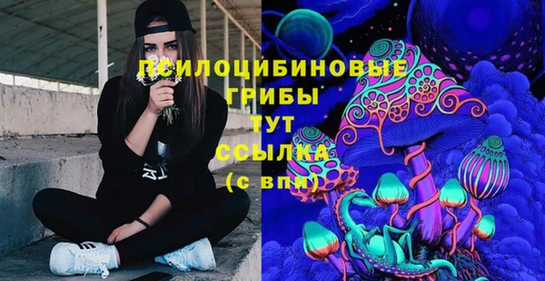 эйфоретик Алексеевка