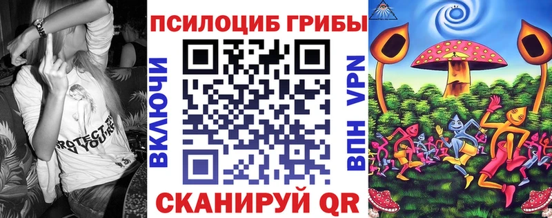 Галлюциногенные грибы Cubensis  Купить  Сясьстрой 